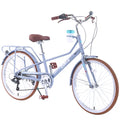 Arnahaishe 24 Inch Women's Cruiser Bike, 6-Speed Adult Bike with Step-Through Steel Frame and Cup Holder